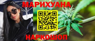 apvp Кингисепп