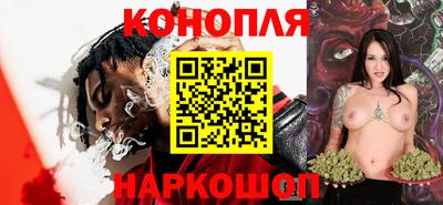 apvp Кингисепп