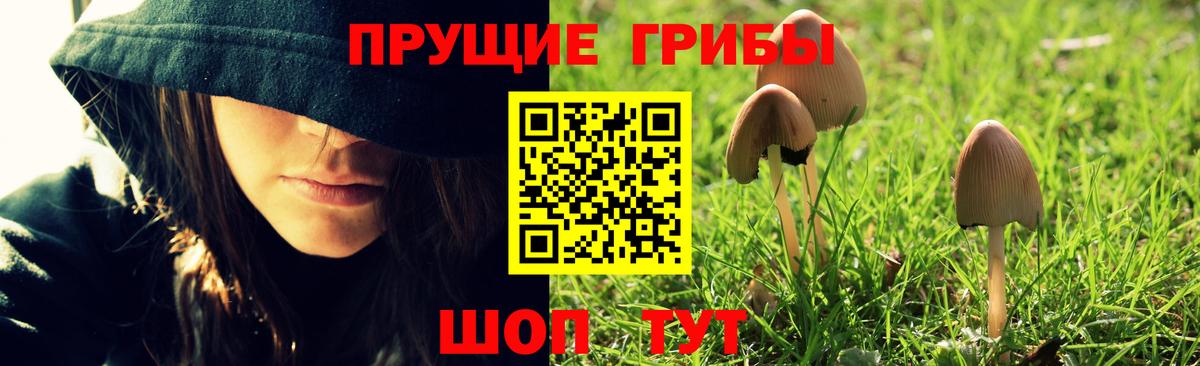 Галлюциногенные грибы MAGIC MUSHROOMS  Вход с VPN  Дятьково 